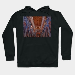 Pisa Cathedral, Pisa, Italy Hoodie